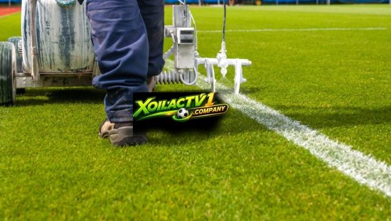 Đường Pitch có ý nghĩa quan trọng trong thi đấu bóng đá
