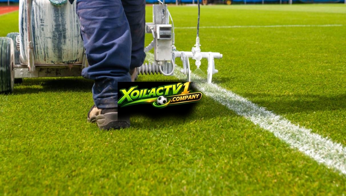 Đường Pitch có ý nghĩa quan trọng trong thi đấu bóng đá