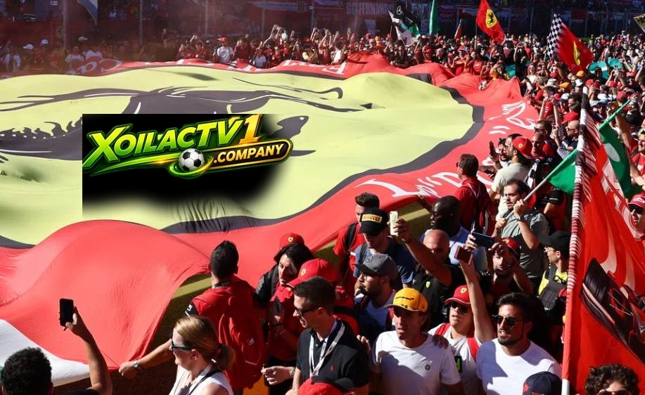 Tifosi chân chính là người hâm mộ bóng đá Ý