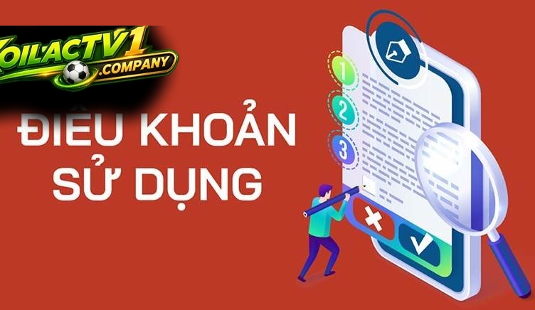 Trách nhiệm của người dùng tại trang web