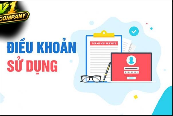 Trách nhiệm và dịch vụ của trang web